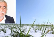 Kar nedeniyle oluşan zararlar karşılanmalı