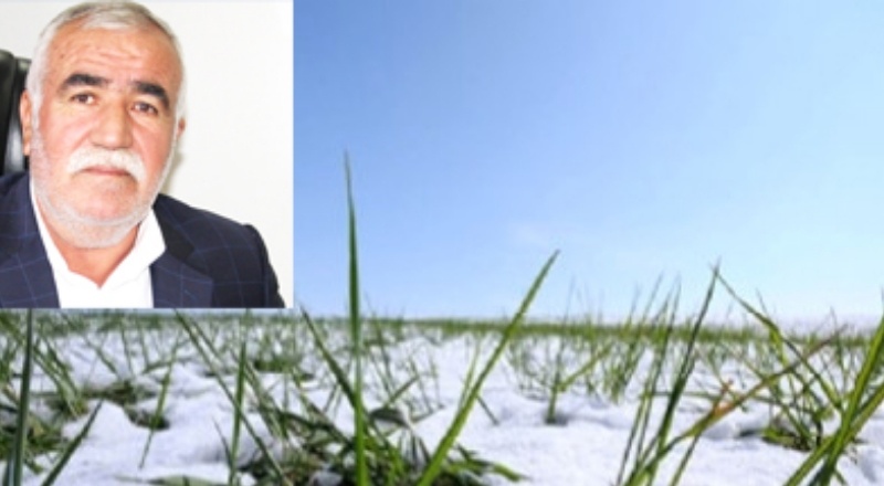 Kar nedeniyle oluşan zararlar karşılanmalı