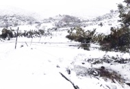 Kar yağışı elektrik direklerini devirdi