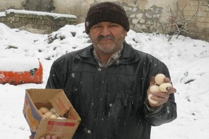 Kar yağışı köy yumurtalarına zam getirdi 