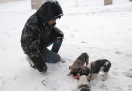 Kar yağışı sonrası aç kalan sokak hayvanlarına çocuklar sahip çıktı