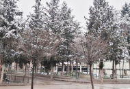 Kar yağışının ardından buzlanma meydana geldi