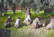 Kara altında hedef dünya birinciliği