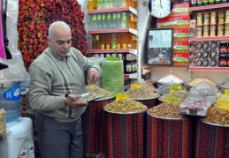 Karaborsacılar fıstığa en ağır darbeyi vuruyor 