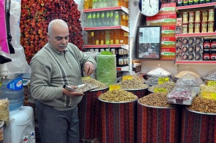 Karaborsacılar fıstığa en ağır darbeyi vuruyor 