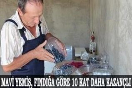 Karadeniz, dünyanın en iyi antioksidanını yetiştirecek