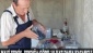 Karadeniz, dünyanın en iyi antioksidanını yetiştirecek
