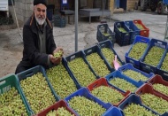 Karayolu üzerinde zeytin satılıyor 