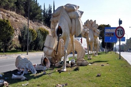 Karayoluna dikilen develer, kazaya neden oldu