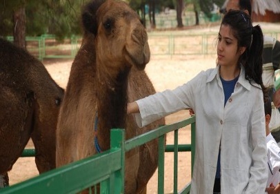“Kardeş Hayvanat Bahçesi” yapılacak