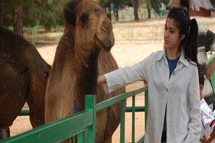 &#8220;Kardeş Hayvanat Bahçesi&#8221; yapılacak 