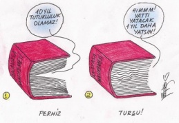 Karikatür