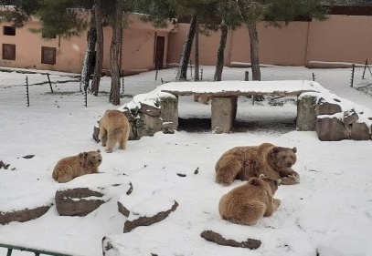 Karın keyfini çıkarıyorlar