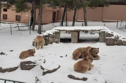 Karın keyfini çıkarıyorlar