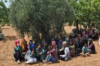 Karısını, kayınvalidesini ve kayınpederini öldürdü