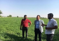 Karkamış, tarihi, mimarisi ve kültürü ile saklı kalmış bir cennet