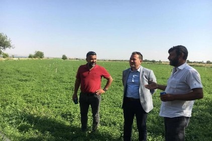 Karkamış, tarihi, mimarisi ve kültürü ile saklı kalmış bir cennet
