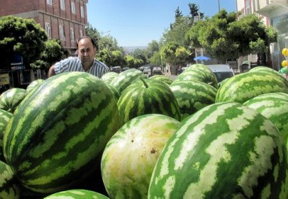 Karpuz, çiftçiye ikinci bayram sevincini yaşattı