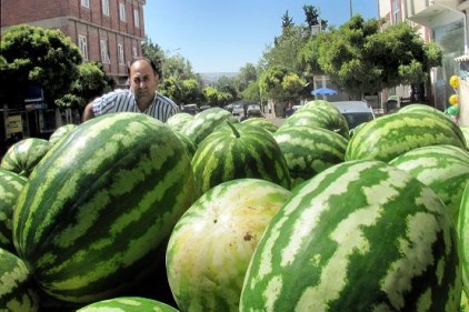 Karpuz, çiftçiye ikinci bayram sevincini yaşattı