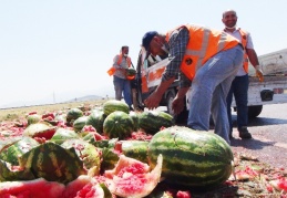 Karpuzlar yola saçıldı