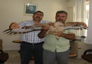 Kartala sahip çıktı