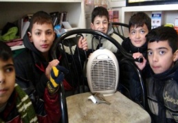 Kartopu oynayan çocuklar donmak üzere olan serçeyi veterinere yetiştirdi