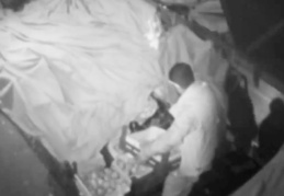 Kasayla meyve çaldı