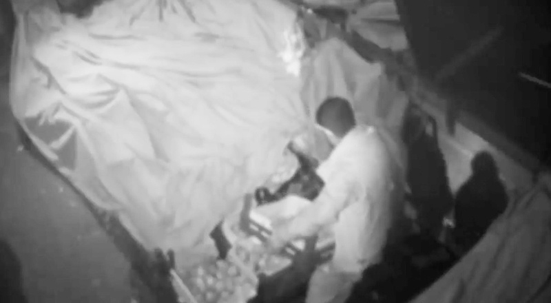 Kasayla meyve çaldı