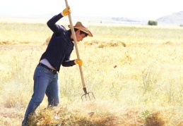 Kasımda çiftçinin enflasyonu yüzde 20.7 oldu