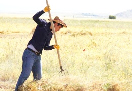 Kasımda çiftçinin enflasyonu yüzde 20.7 oldu