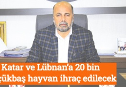 Katar ve Lübnan’a 20 bin küçükbaş hayvan ihraç edilecek