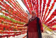 Kavurucu sıcaklar üreticilerine yaradı 