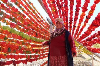 Kavurucu sıcaklar üreticilerine yaradı 