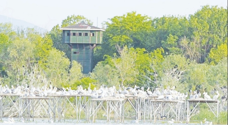 "Kaybedecek zaman yok, kritik eşikteyiz"