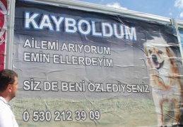 Kayboldu, sahibini arıyor