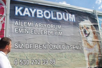 Kayboldu, sahibini arıyor