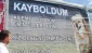 Kayboldu, sahibini arıyor