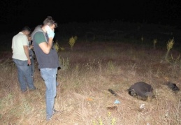 Kayıp hasta adam tarlada ölü bulundu