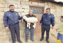 Kayıp kuzusuna kavuştu