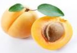 Kayısı çekirdeğinden kanser ilacı için sağlık bakanlığından izin bekleniyor