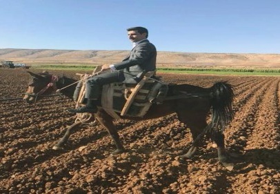 Kaymakam ata bindi, tarlalarda okula gitmeyen öğrenci aradı