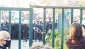 Kayyım rektörü protesto eden Boğaziçi Üniversitesi öğrencilerine operasyon: Çok sayıda gözaltı var