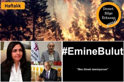 Kayyum, yangın, erkek şiddeti