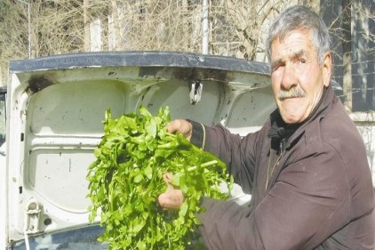 Kazayağı satarak ailesinin geçimini sağlıyor