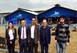 Keçi çiftliğini gezdiler