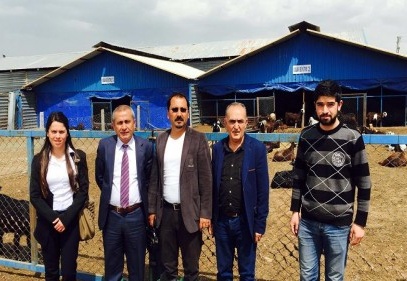 Keçi çiftliğini gezdiler