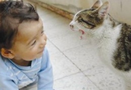 ''Kedi ve Köpek'' bebeklerin sağlık kaynağı