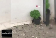 Kedilerden kaçan fare çamaşır asacağında bekledi