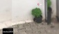 Kedilerden kaçan fare çamaşır asacağında bekledi