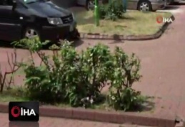Kedinin avladığı yavruyu kurtaramadılar